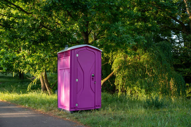 Portable Toilet Options We Offer in Avonia, PA